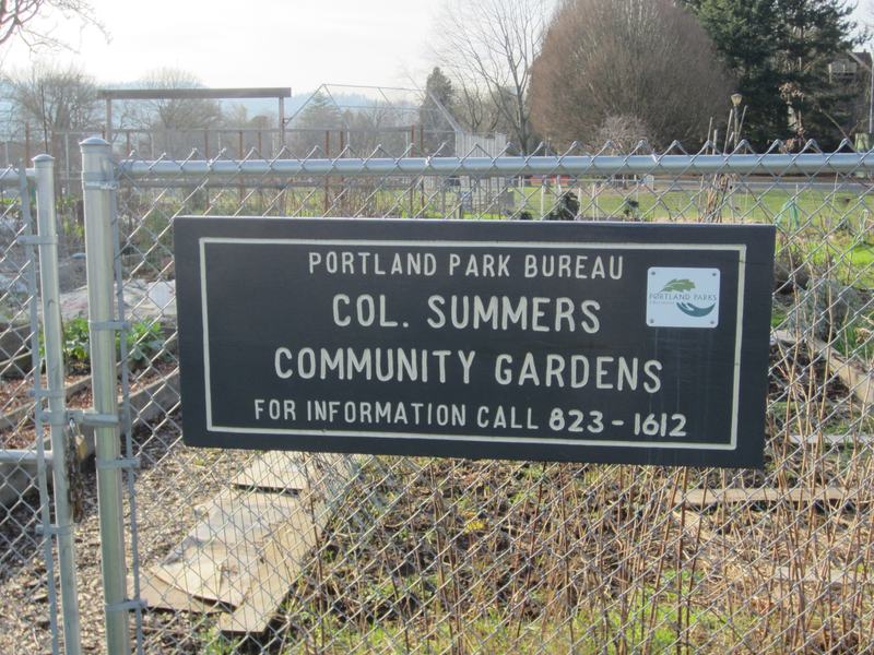 Colonel Summers Community Gardens, Portland