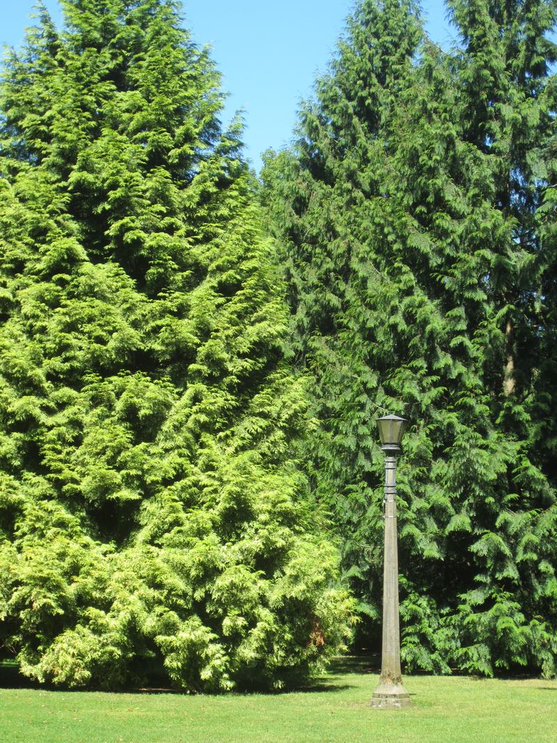 Woodstock Park, Portland (2012)